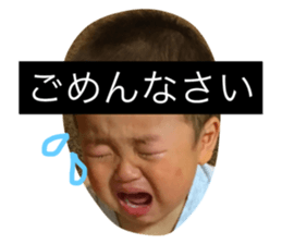 23310054