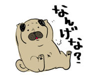 233126903