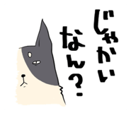 233126907