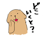 233126911