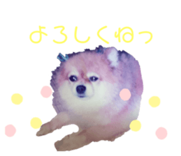 233130112