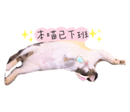 233137908