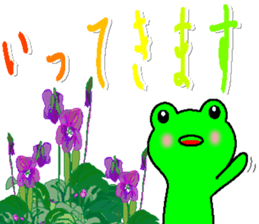 233186629