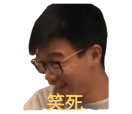 233187398