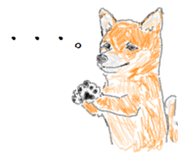 2331882