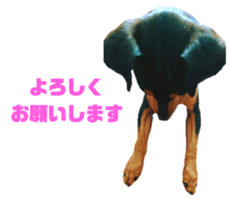 233225386