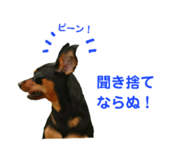 233225399