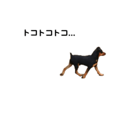 233225401