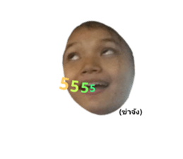 233232859
