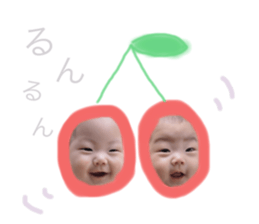 233251850