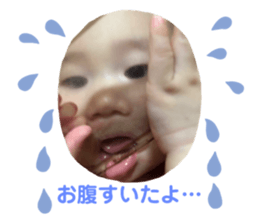 233264280