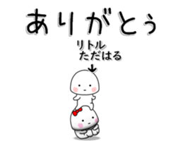 233284679