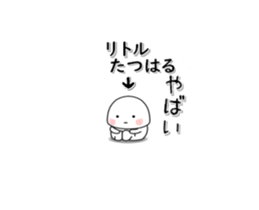 233284838