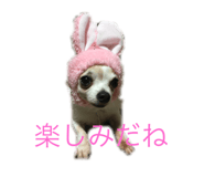23328719