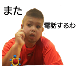 233302647