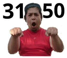 233302652