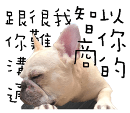 23330444