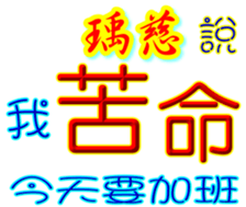 233313116