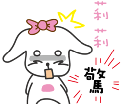 233317239