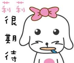 233317251
