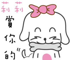 233317271