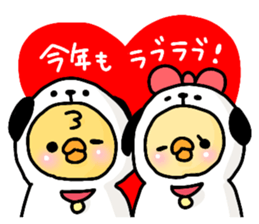 23334300