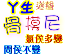 233359802