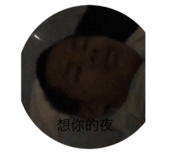 233371077