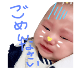 233371118