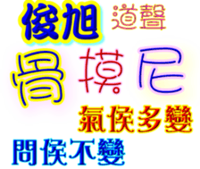 233377643