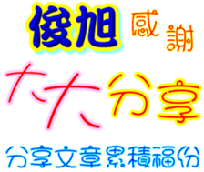 233377995