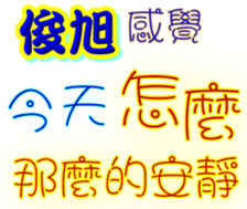 233378606