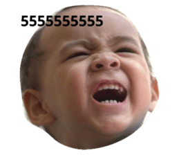 233389721