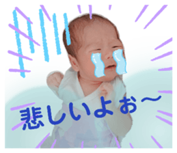 233441338