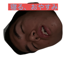 233453550