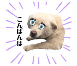 233457928