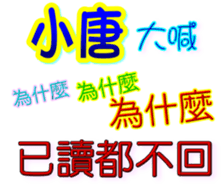 233531684