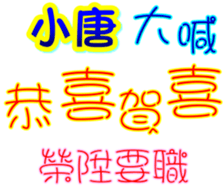 233531700