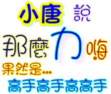 233533037