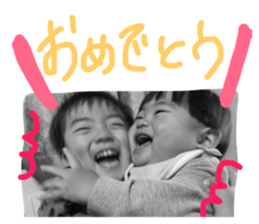 23353557