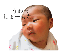 233554625