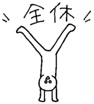 23360025
