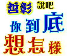 233663291
