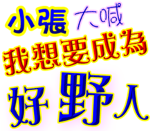 233673163
