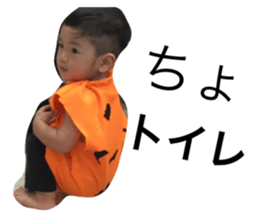 23369080