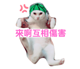 233710936