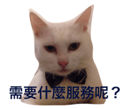 233710952