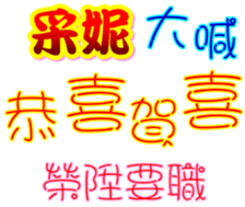 233715028