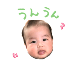 23372134