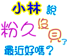 233741297